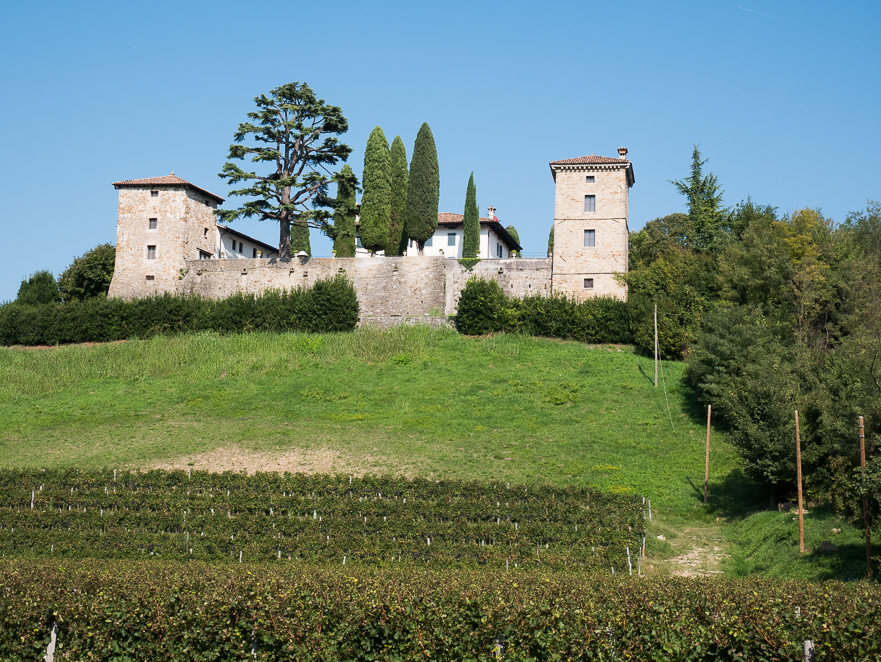 Weinlese in der Abschlussphase